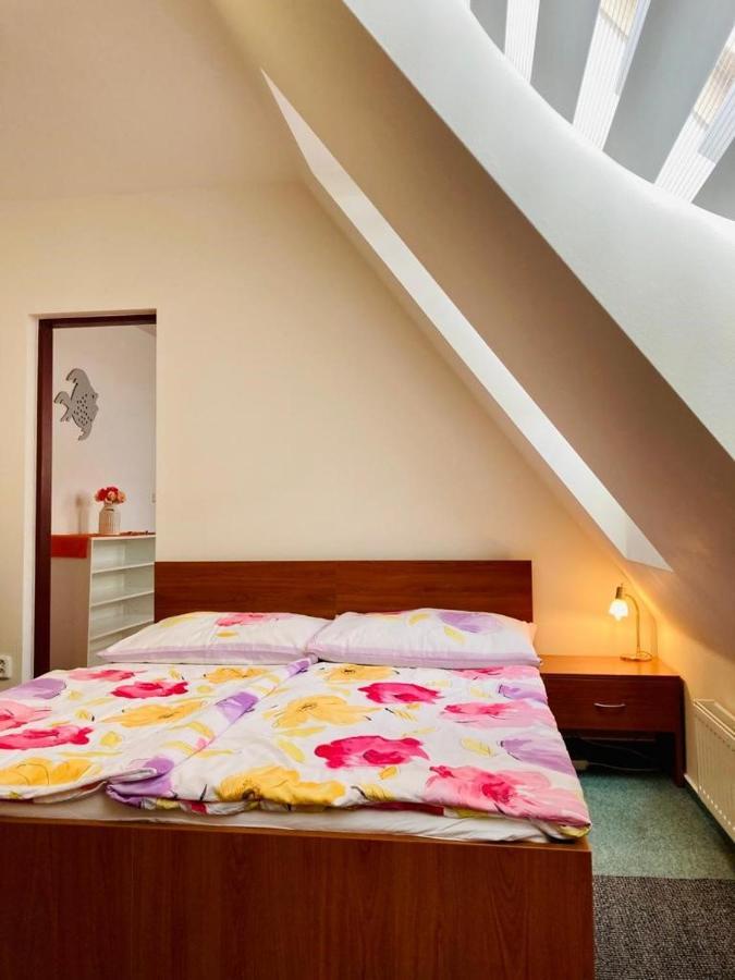 Apartmany, Penzion, Wellness U Zlate Rybky Vyskov Exterior photo