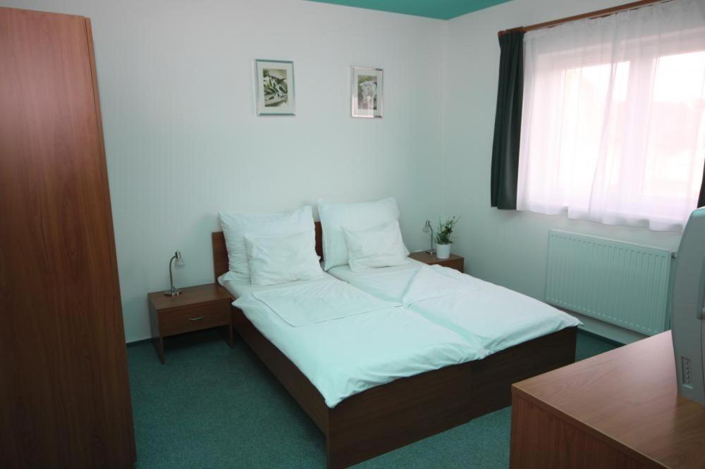 Apartmany, Penzion, Wellness U Zlate Rybky Vyskov Exterior photo